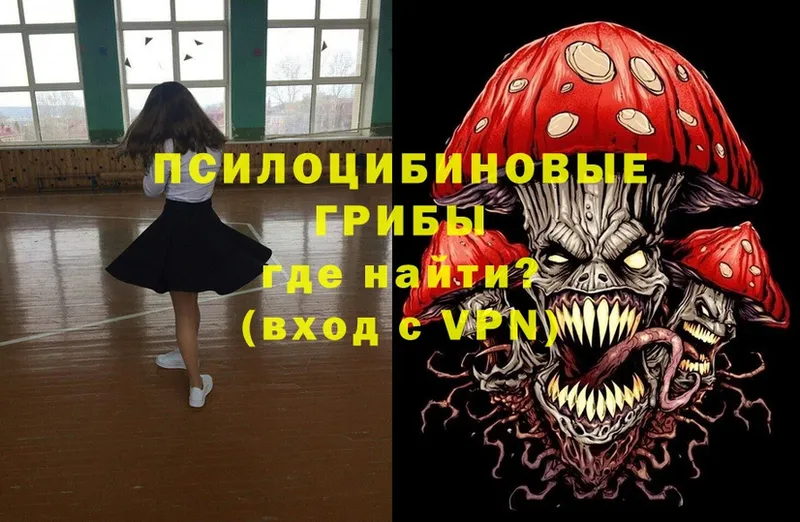 omg как войти  Бронницы  Галлюциногенные грибы Psilocybine cubensis 